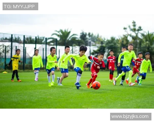 《足球小子与梦想之路：从街头球场到世界之巅的成长历程》