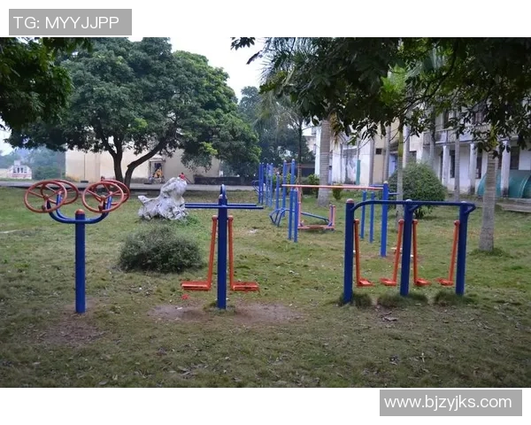 龙门健身器材全面功能解析助力你打造理想身材与健康生活